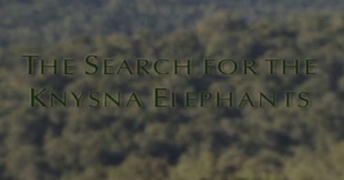 Animal Planet - Seach for the Knysna Elephants (2015) 720p HDTV x264-CBFM