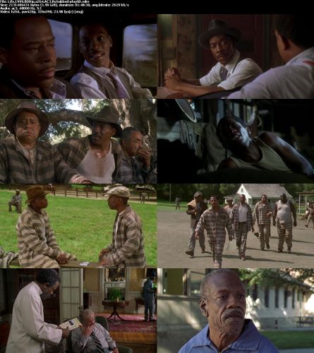 Life 1999 BDRip x264 AC3 RoSubbed-playSD