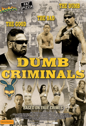 Dumb Criminals The Movie 2015 HDRip XviD AC3-EVO