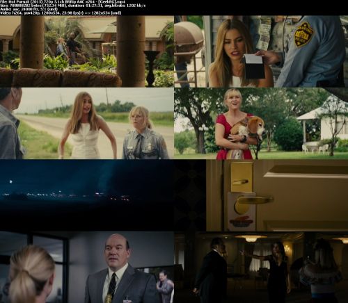 Hot Pursuit (2015) 720p 5.1ch BRRip AAC x264 - GeekRG