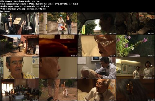 Peace (2010)