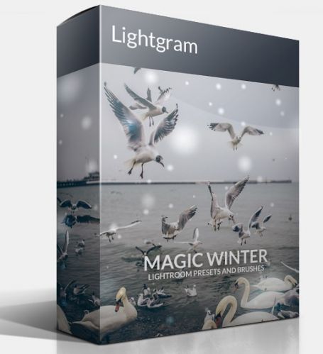 Lightgram Magic Winter Vol.I Lightroom Presets