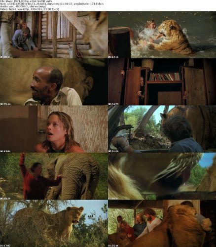 Roar 1981 BDRip x264-VoMiT