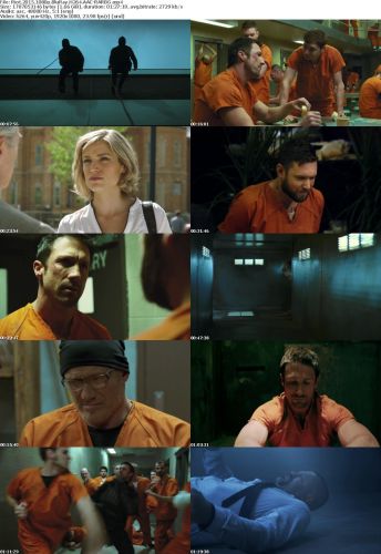 Riot 2015 1080p BluRay H264 AAC-RARBG