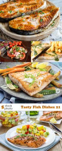 Photos - Tasty Fish Dishes 21