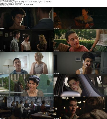Urban Family 2015 BDRip x264-FiCO