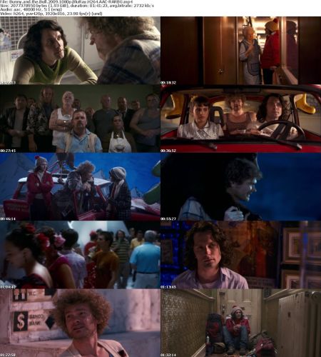 Bunny and the Bull 2009 1080p BluRay H264 AAC-RARBG