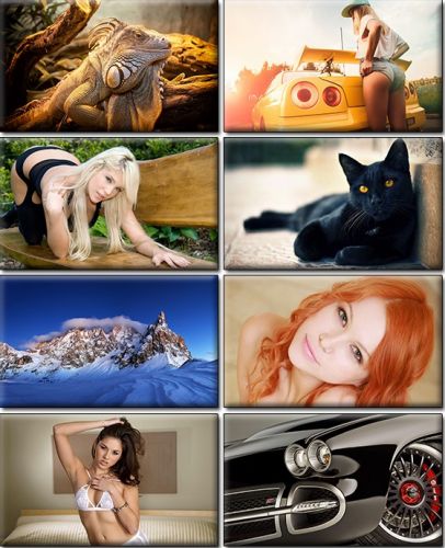 LIFEstyle News MiXture Images. Wallpapers Part (877)