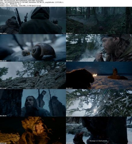 The Revenant 2015 DVDSCR x264 AAC-m2g