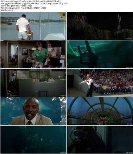 Jaws 3-D 1983 1080p WEB-DL AAC2.0 H264-FGT