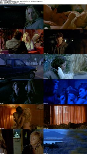Somersault 2004 LiMiTED DVDRiP XViD-SMR