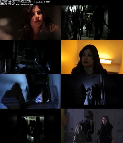 Bad Building 2015 BDRip x264-playSD