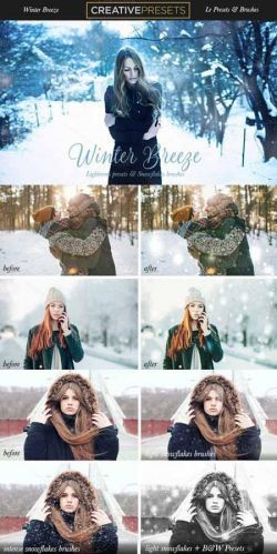 CreativeMarket - Winter Breeze Lightroom Presets