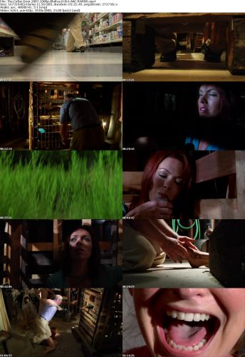 The Cellar Door 2007 1080p BluRay H264 AAC-RARBG