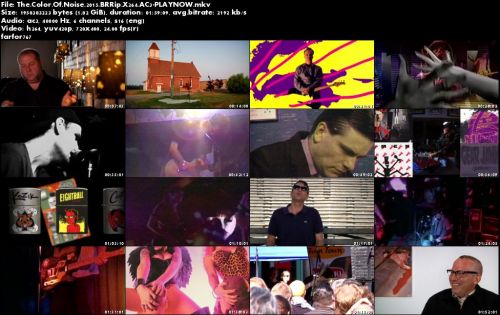 The Color Of Noise (2015) 720p BRRip X264-PLAYNOW