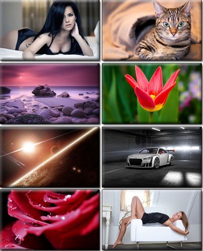 Computer Desktop Wallpapers Collection. Part (1402)