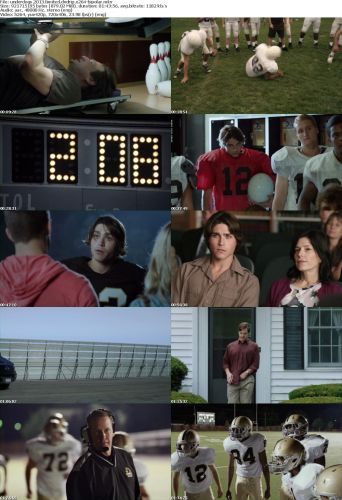 Underdogs 2013 LIMITED DVDRip x264-BiPOLAR