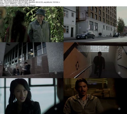 The Romeo Section S01E09 HDTV XviD-AFG