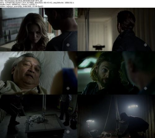The Romeo Section S01E08 HDTV XviD-AFG