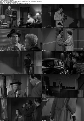 Pushover (1954)