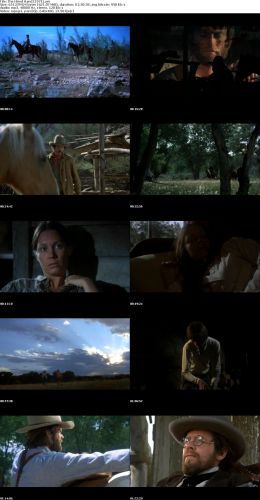 The Hired Hand (1971)