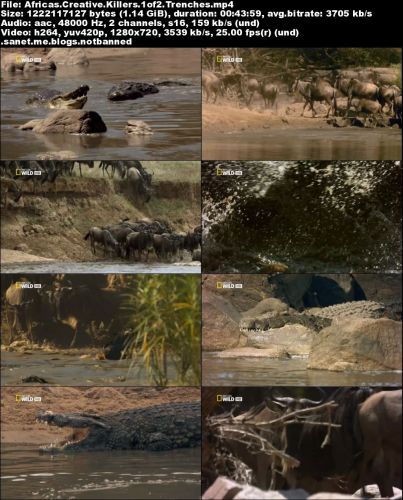 National Geographic - Africas Creative Killers (2015) 720p HDTV x264-MVGroup