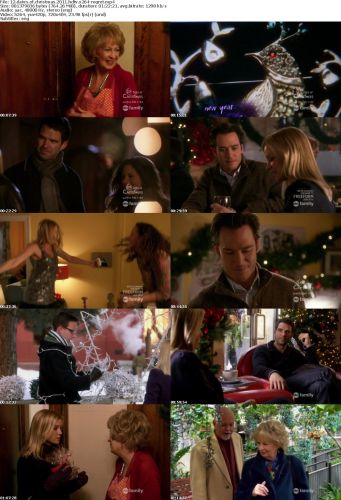 12 Dates of Christmas 2011 HDTV x264-REGRET