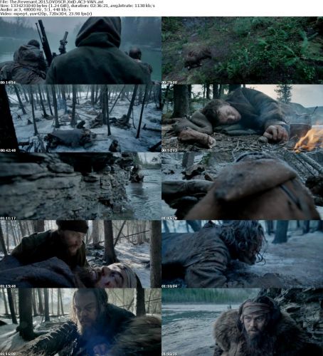 The Revenant 2015 DVDSCR XviD AC3-VAiN