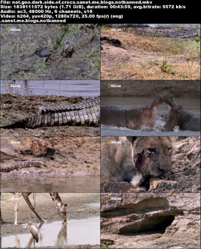 National Geographic - Dark Side of Crocs (2015) 720p HDTV x264-SQUEAK
