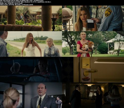 Hot Pursuit (2015) 480p 2ch BRRip AAC x264 - GeekRG