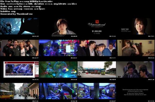 Free To Play (2014) 1080p WEBRip h264-Ltu