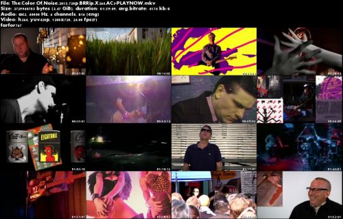 The Color Of Noise (2015) 720p BRRip X264-PLAYNOW