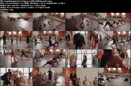 Liquid Asana Live DVD Set - Micheline Berry