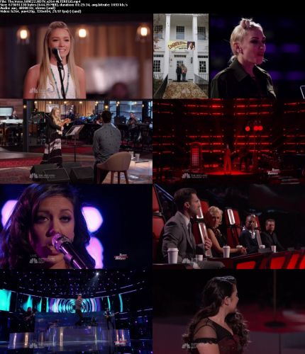 The Voice S09E22 HDTV x264-ALTEREGO