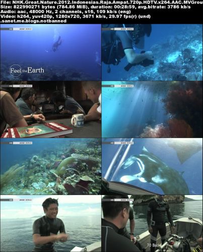 NHK Great Nature - Indonesia's Raja Ampat (2012) 720p HDTV x264-MVGroup