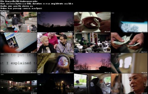 BBC - Storyville: FBI Undercover (2015)