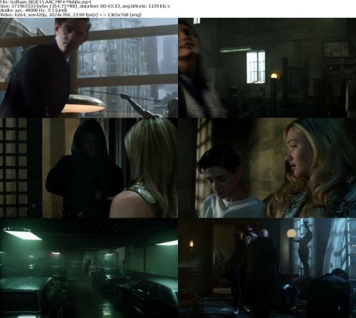 Gotham S02E11 HDTV x264-Mobile
