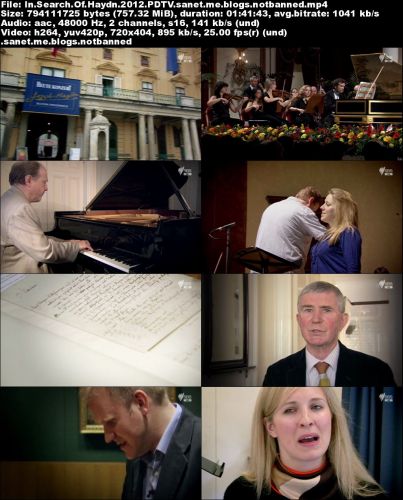 SBS - In Search Of Haydn (2012) PDTV x264-CBFM