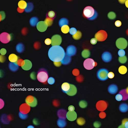 Adem - Seconds Are Acorns (2015)