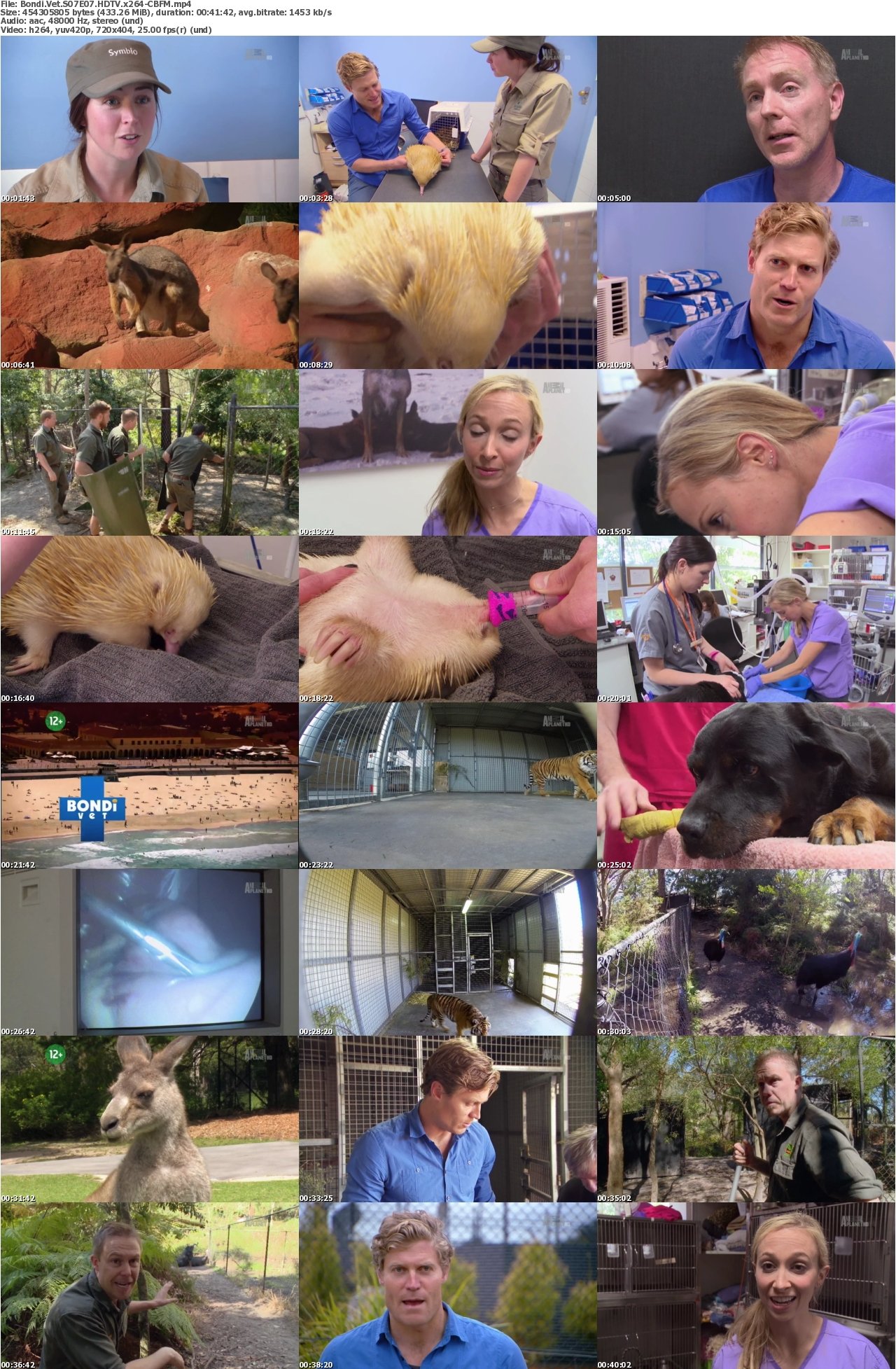 Bondi Vet S07E07 HDTV x264-CBFM