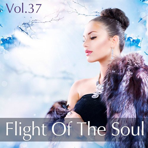 VA - Flight Of The Soul Vol.37 (2015)