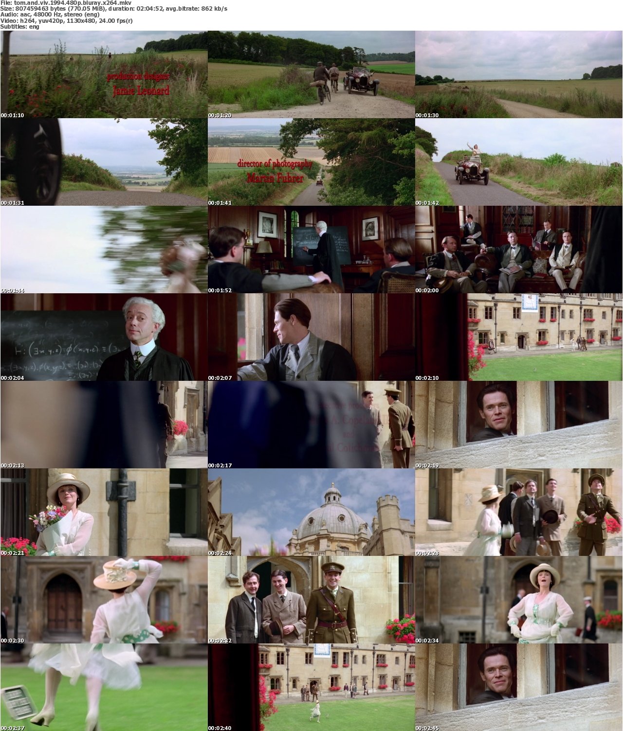 Tom And Viv 1994 480p BluRay x264