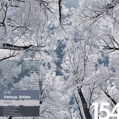 VA - DHM Deep House Music (2015)