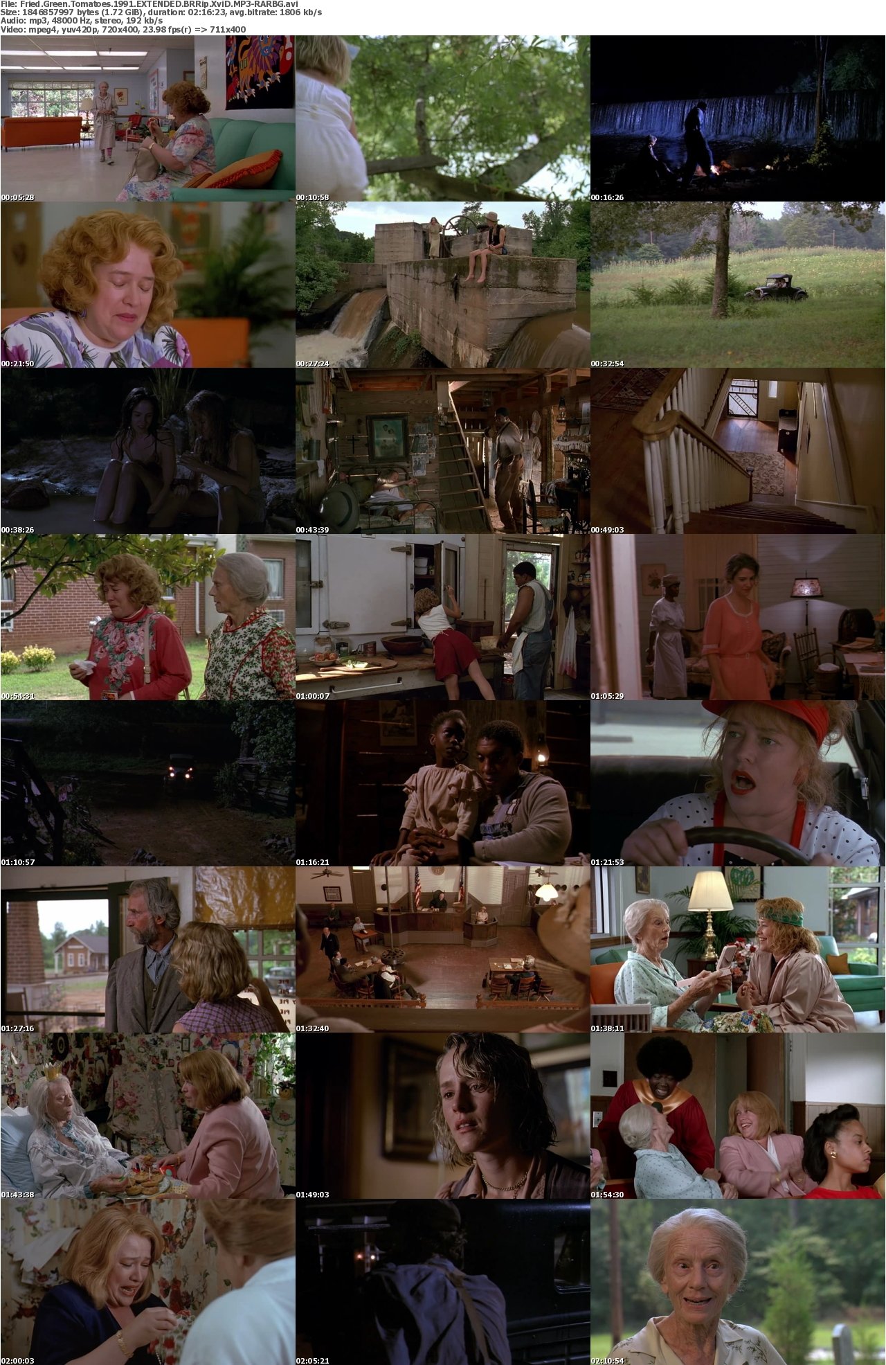 Fried Green Tomatoes 1991 EXTENDED BRRip XviD MP3-RARBG