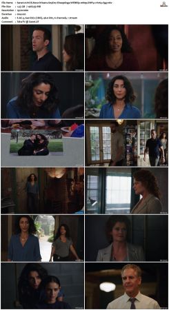 NCIS New Orleans S05 WEBRip 1080p DDP5 1 H265-d3g