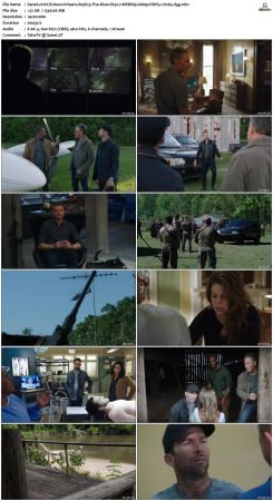 NCIS New Orleans S05 WEBRip 1080p DDP5 1 H265-d3g