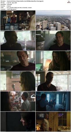 NCIS New Orleans S04 WEBRip 1080p DD5 1 H265-d3g