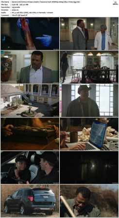 NCIS New Orleans S04 WEBRip 1080p DD5 1 H265-d3g