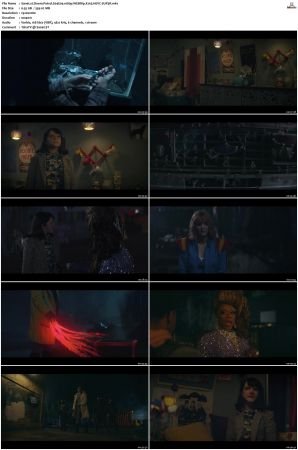 Doom Patrol S04 1080p WEBRip X265 HEVC-SUP3R