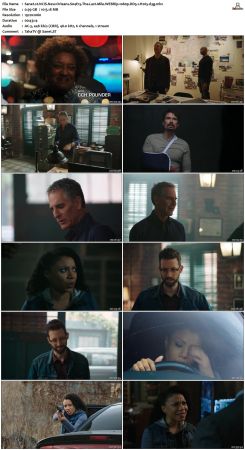 NCIS New Orleans S04 WEBRip 1080p DD5 1 H265-d3g